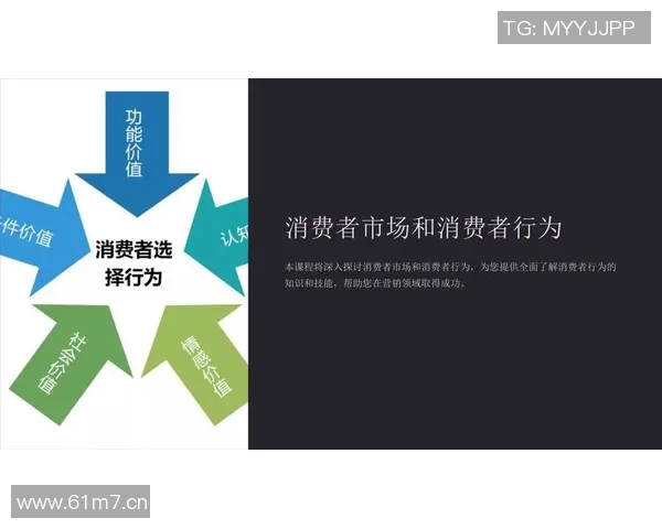 以积分制度为核心探讨消费者行为及其对市场营销策略的深远影响分析